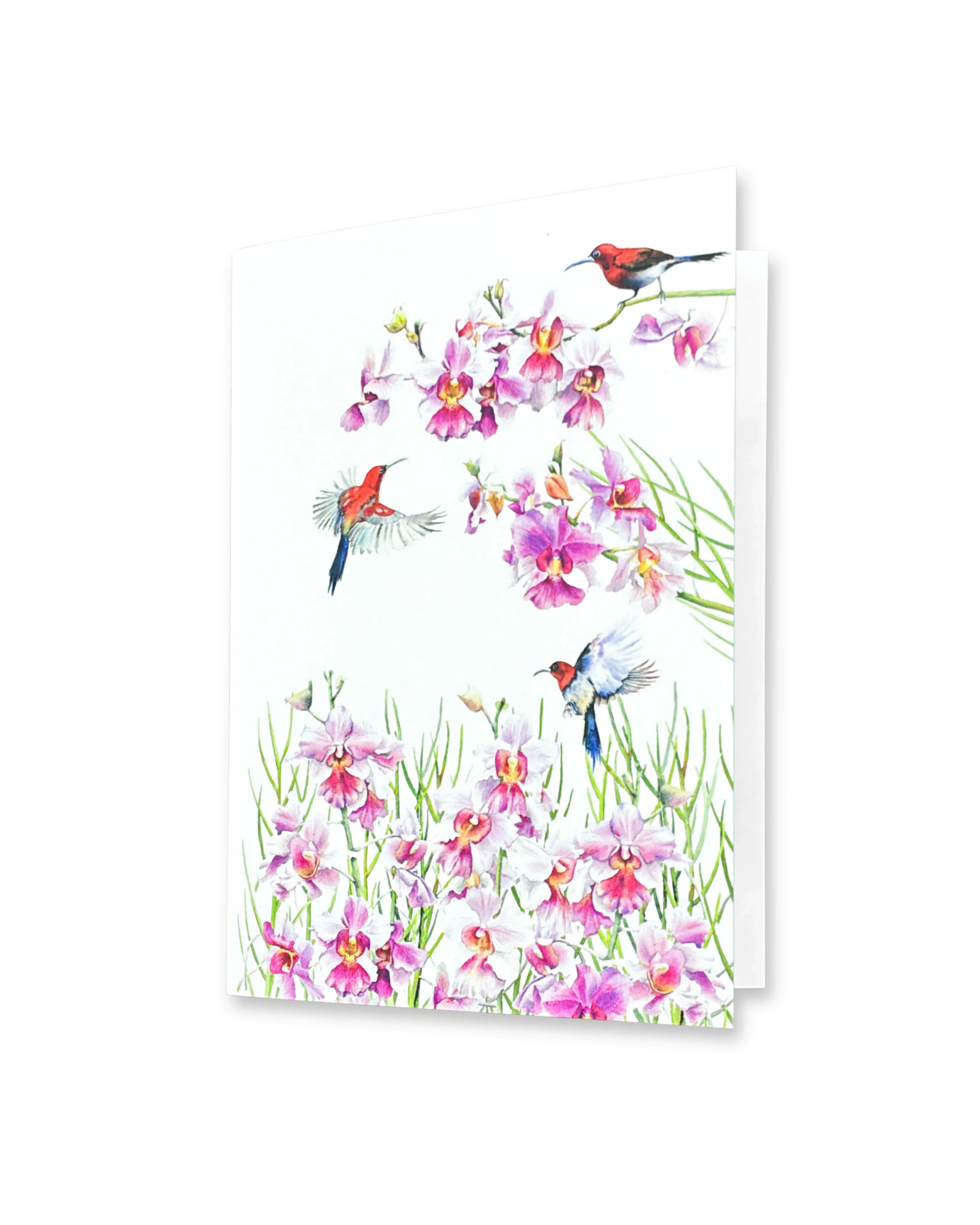 SINGLAPA | Vanda Greeting Card