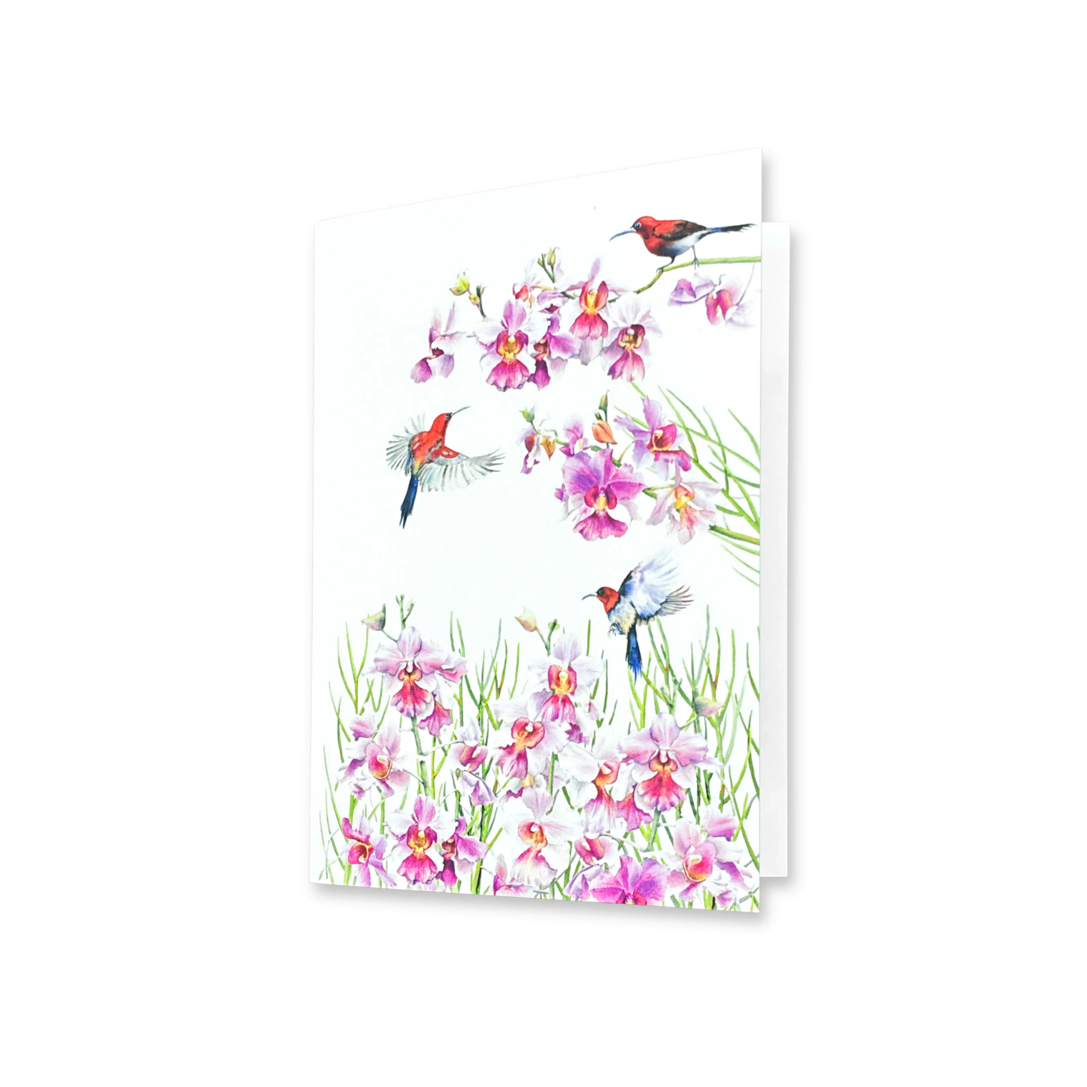 SINGLAPA | Vanda Greeting Card