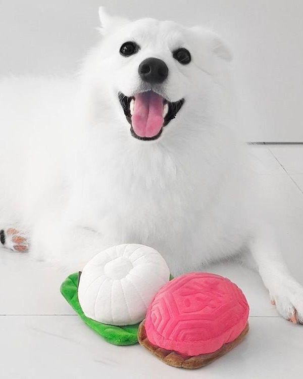 NOM | Waggle Tutu Kueh Squeakie Chew Toy
