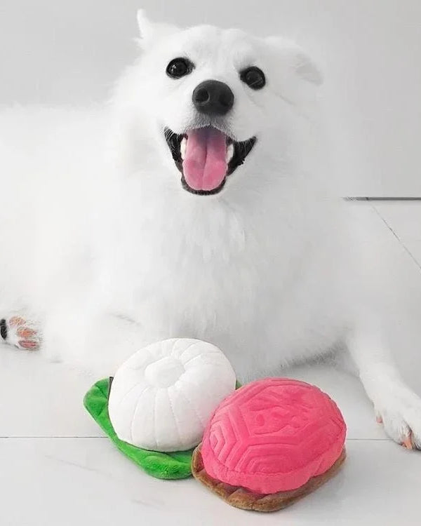 NOM | Waggle Tutu Kueh Squeakie Chew Toy