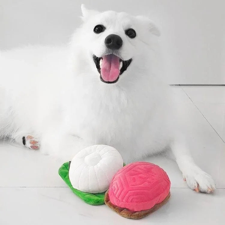 NOM | Waggle Tutu Kueh Squeakie Chew Toy