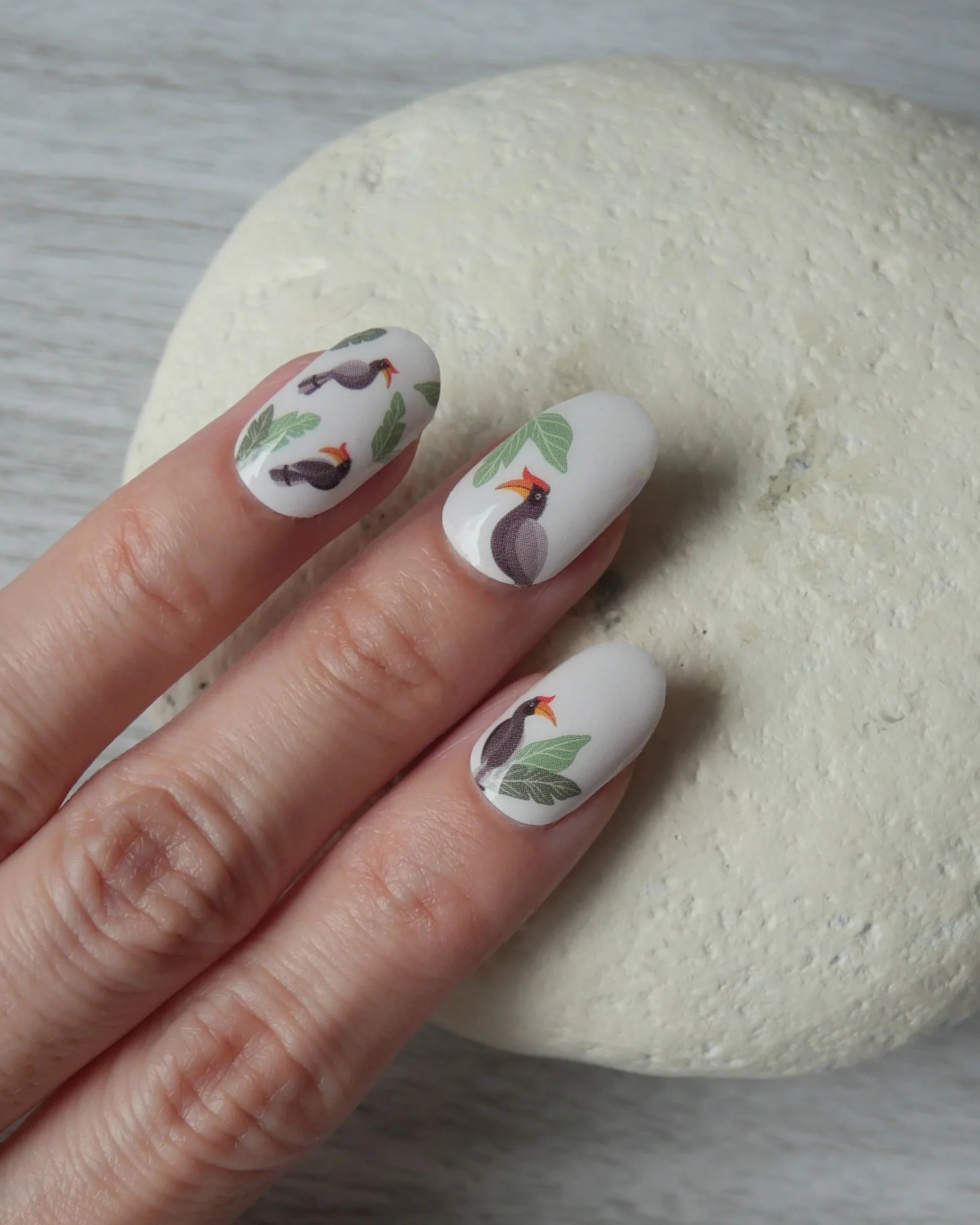 NODSPARK | Hornbill Nail Wrap Manicure
