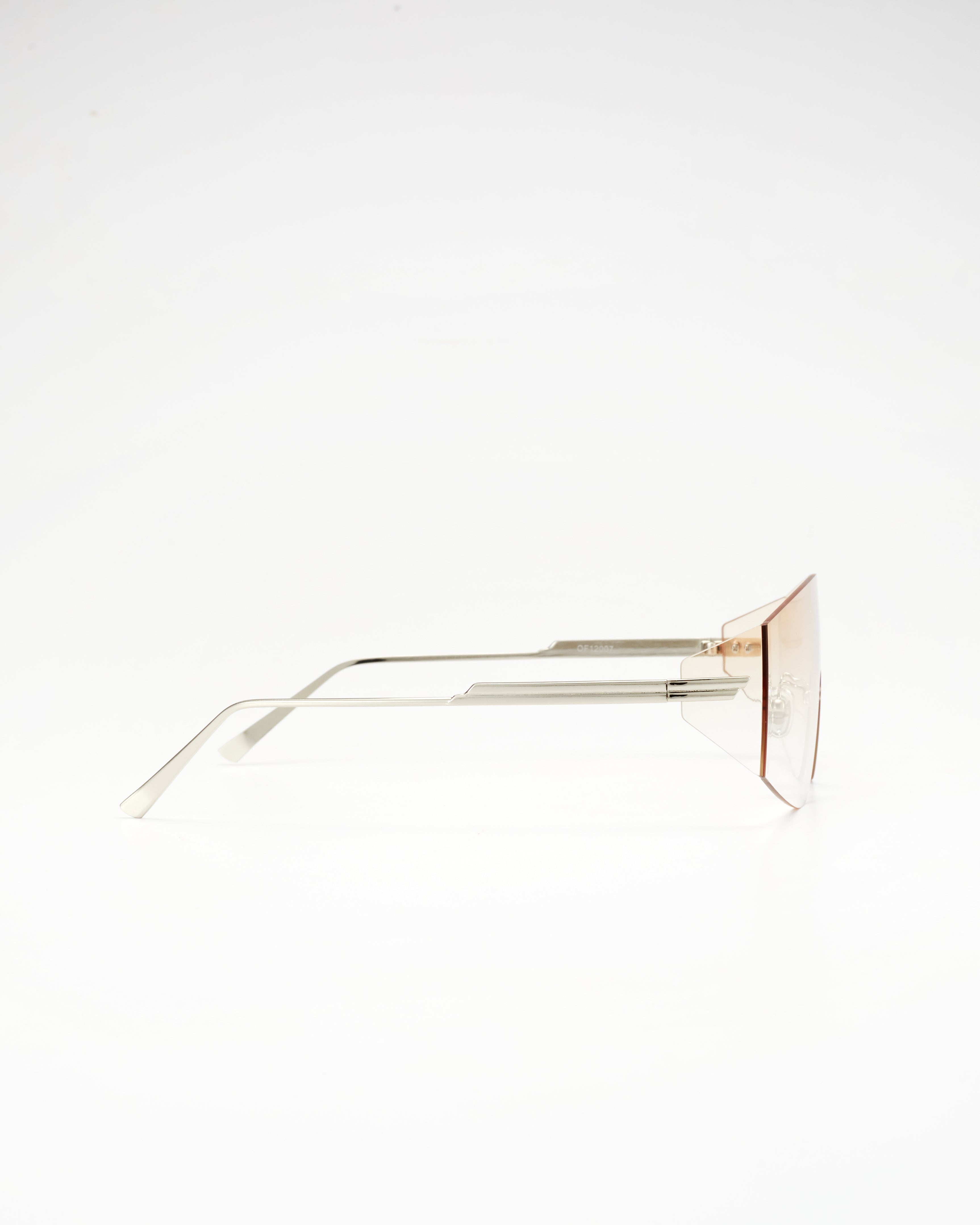 PROJECTWEAR | Eagan Sunglasses Silver/Tea