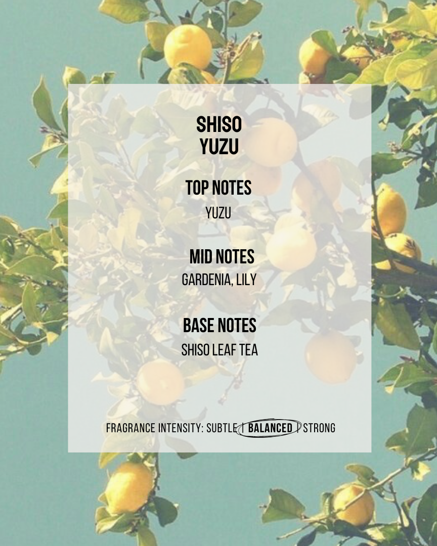 SOUL GOOD PROJECT | Reed Diffuser Set