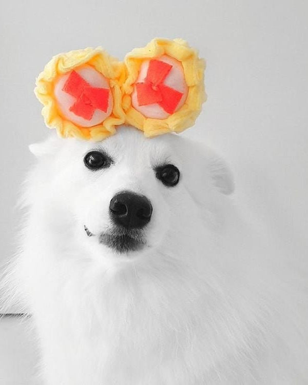 NOM | Waggle Siew Mai Squeakie Chew Toy