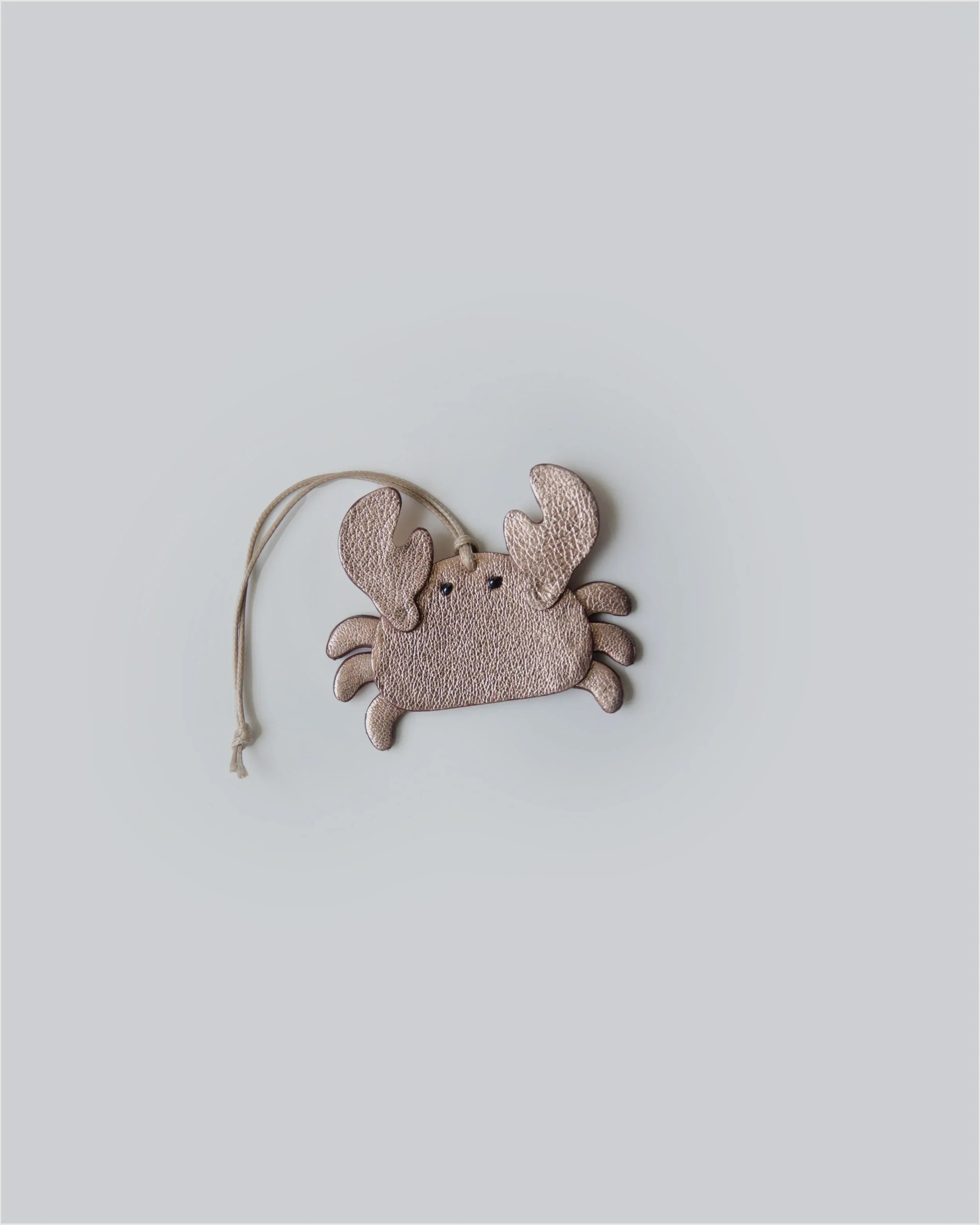 PROJET1826 | Charm | Golden Curry Crab-U