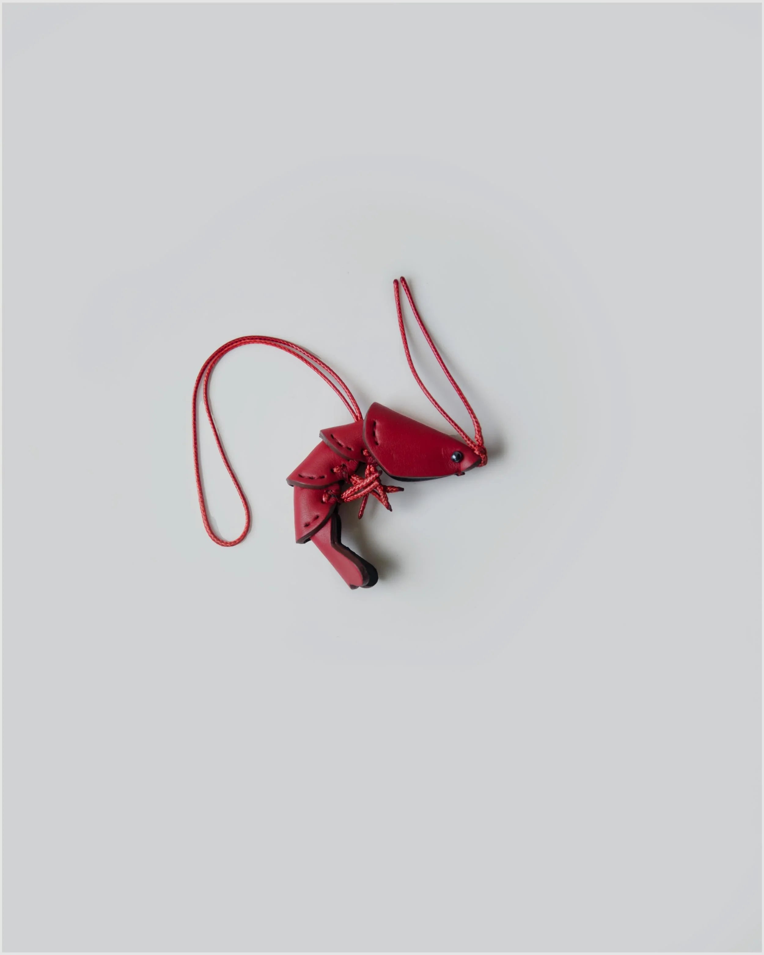 PROJET1826 | Charm | Crimson Tiger Prawn