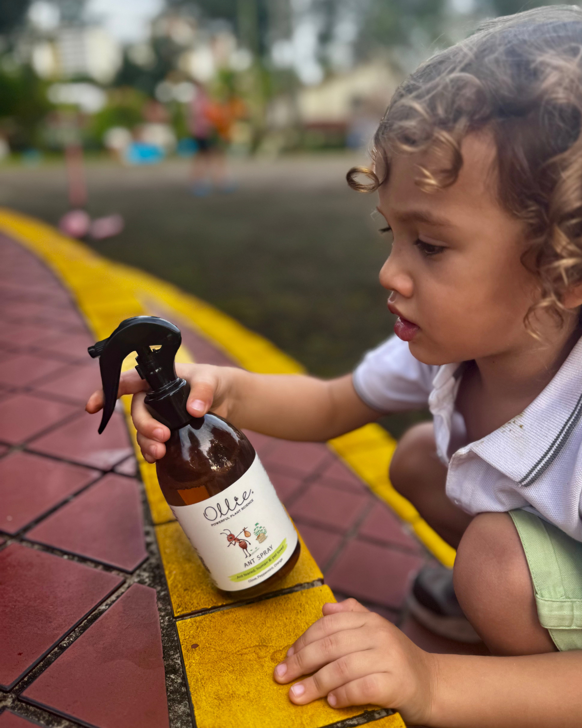 OLLIE | Ant Spray 250ml