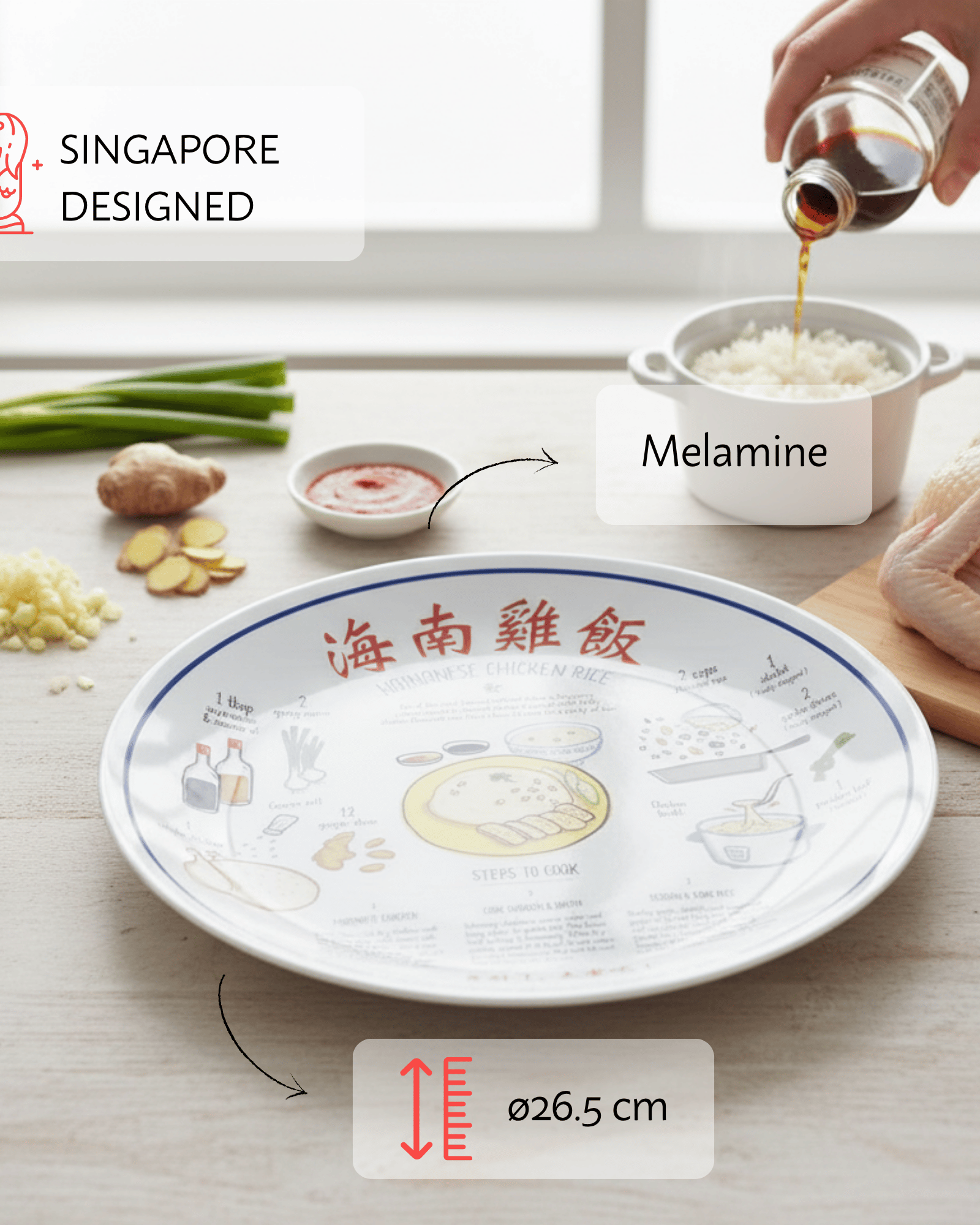 NOM | Recipe Plate (Chicken Rice)