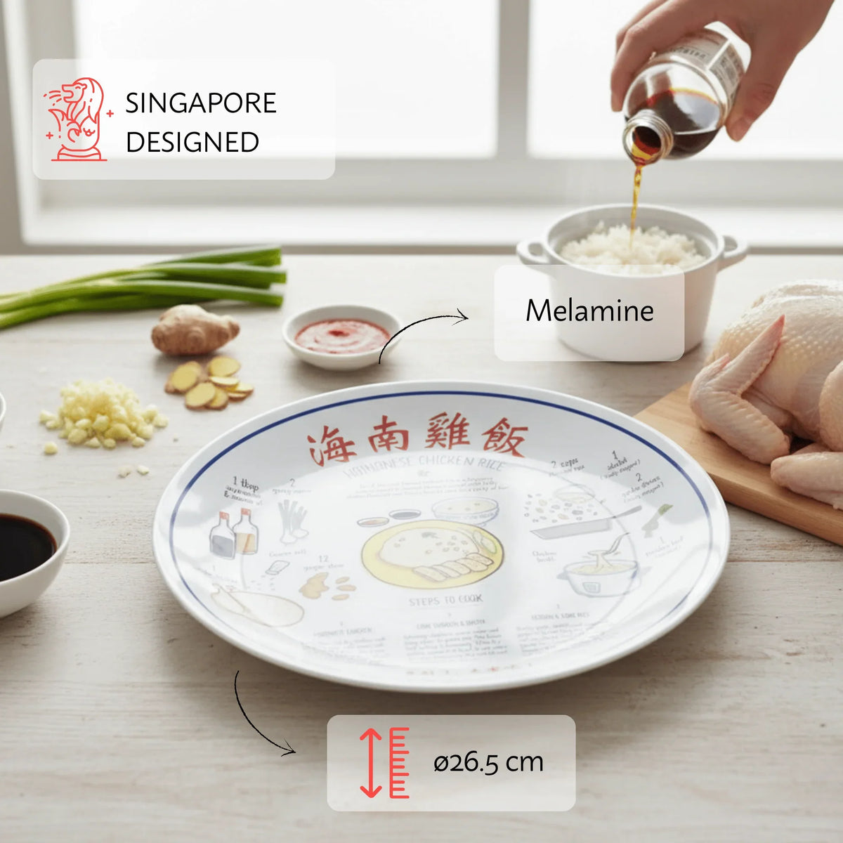 NOM | Recipe Plate (Chicken Rice)