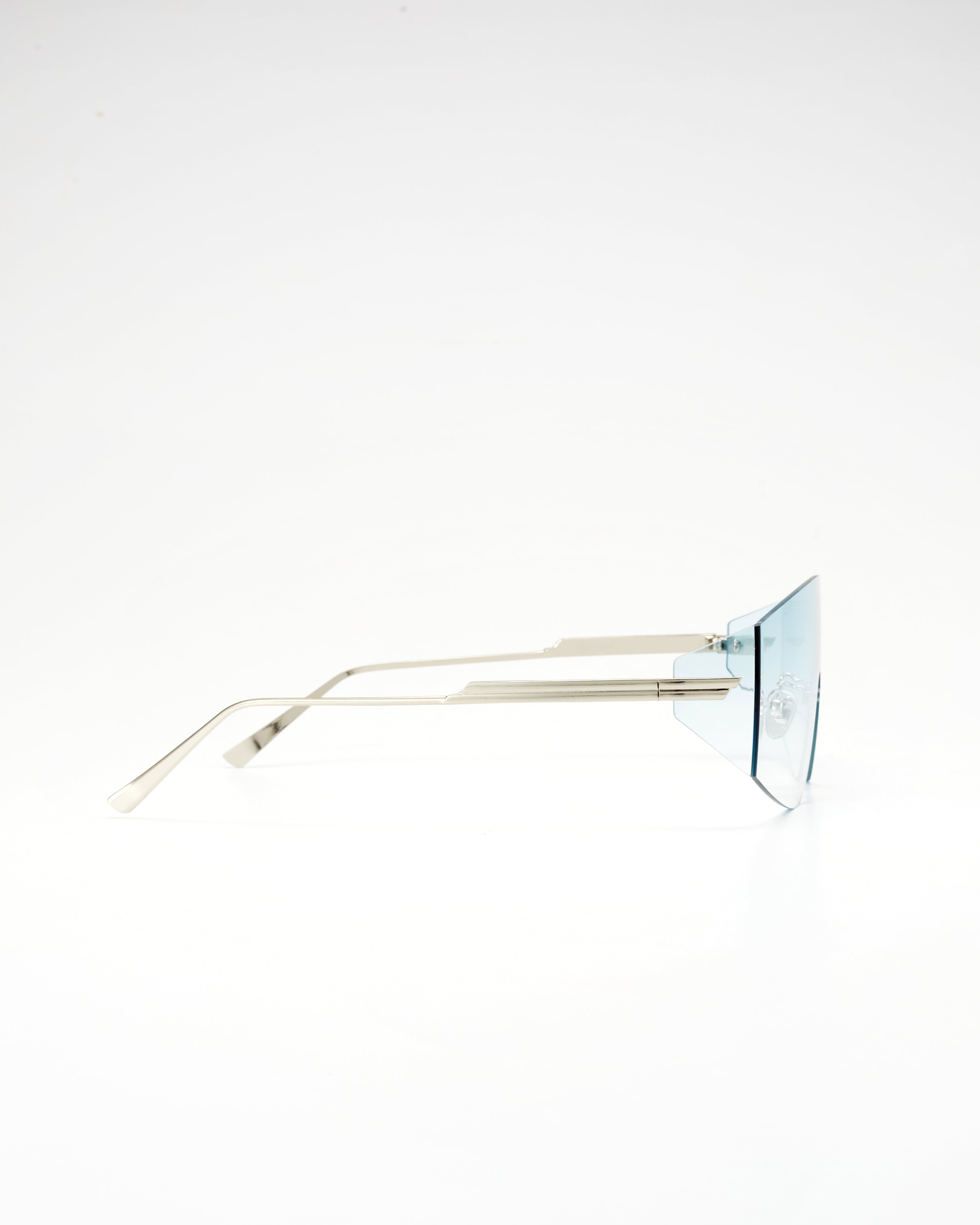 PROJECTWEAR | Eagan Sunglasses Silver/Blue