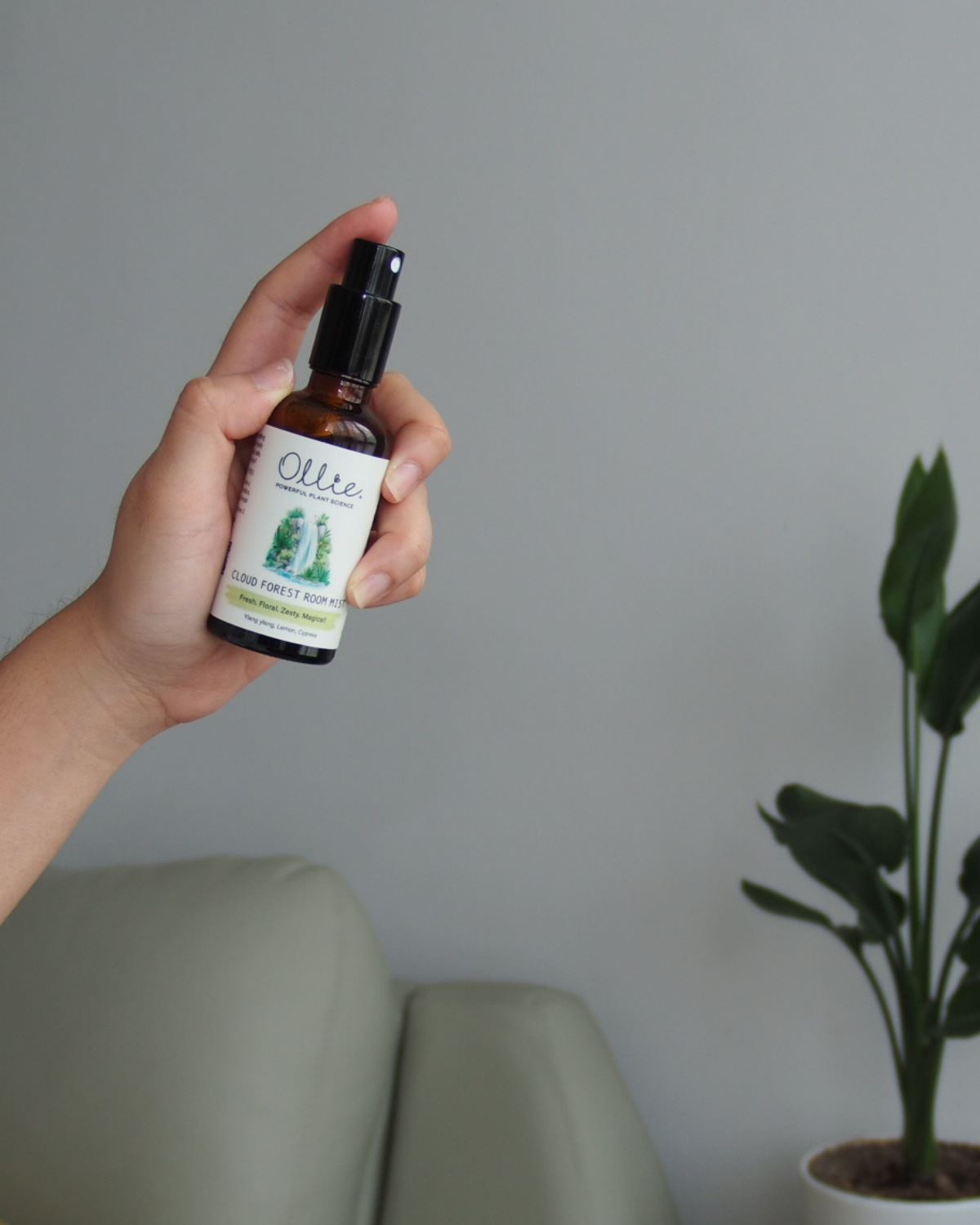 OLLIE | Cloud Forest Room Mist 50ml
