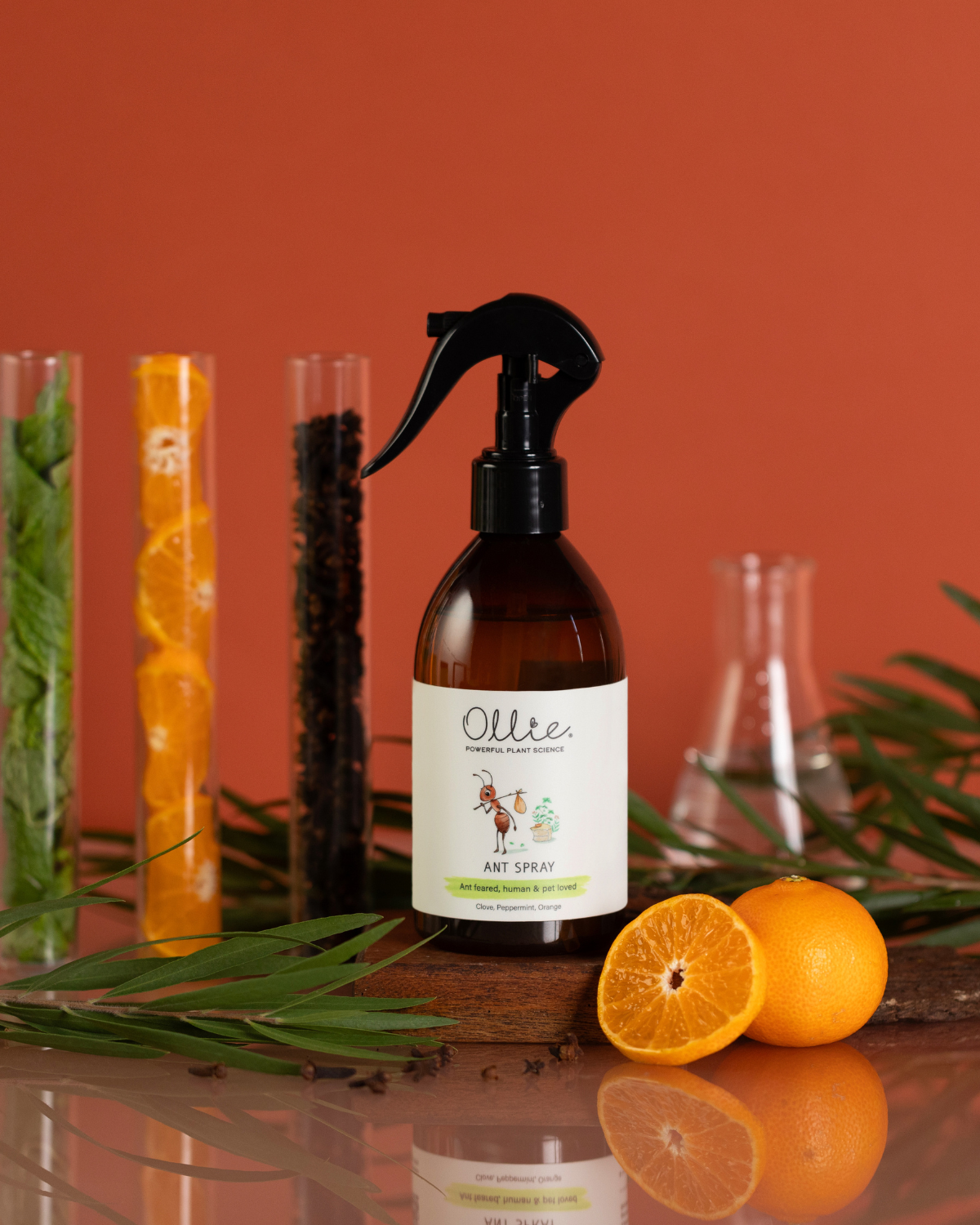 OLLIE | Ant Spray 250ml