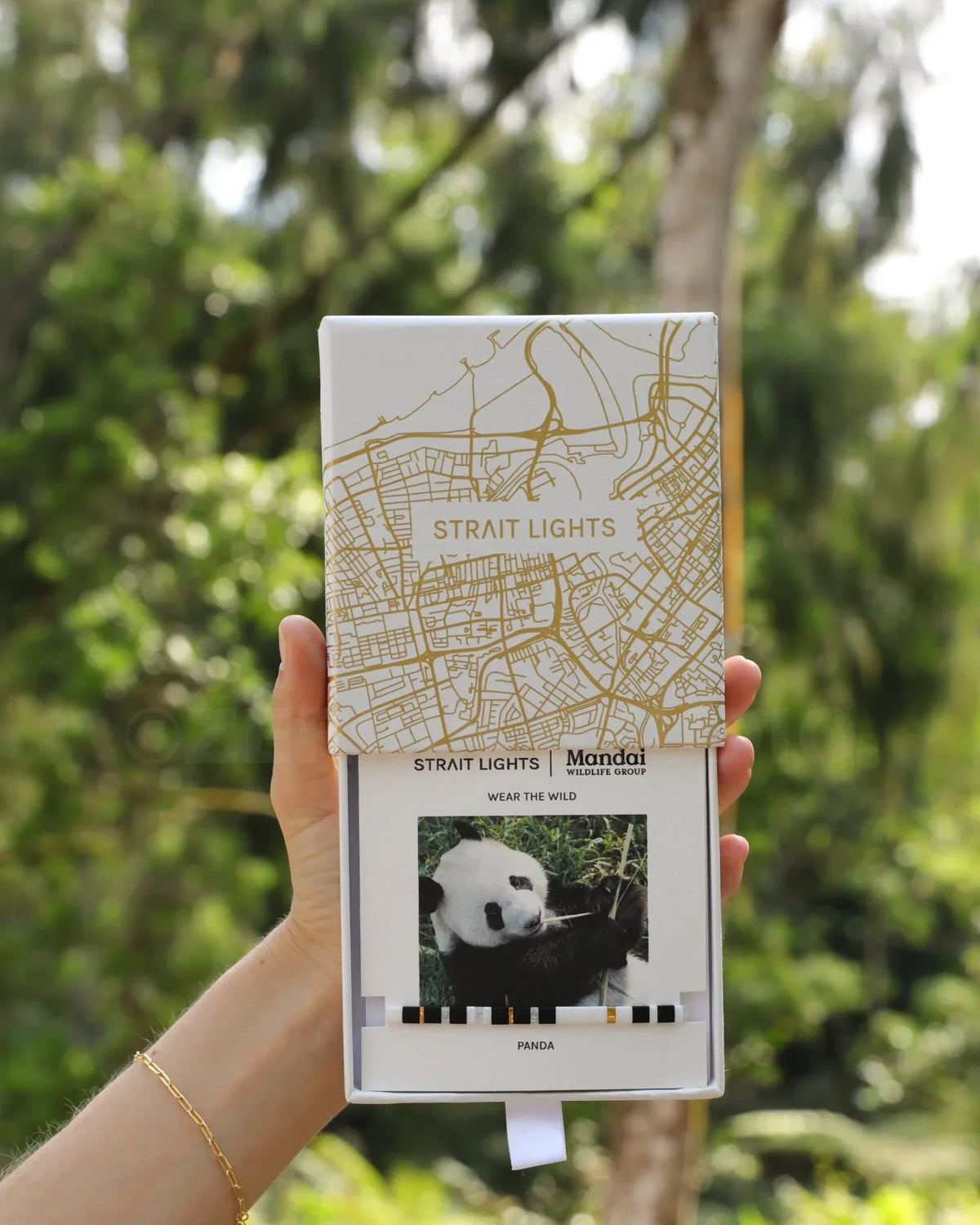 MANDAI WILDLIFE GROUP | MANDAI x STRAIT LIGHTS Panda Bracelet