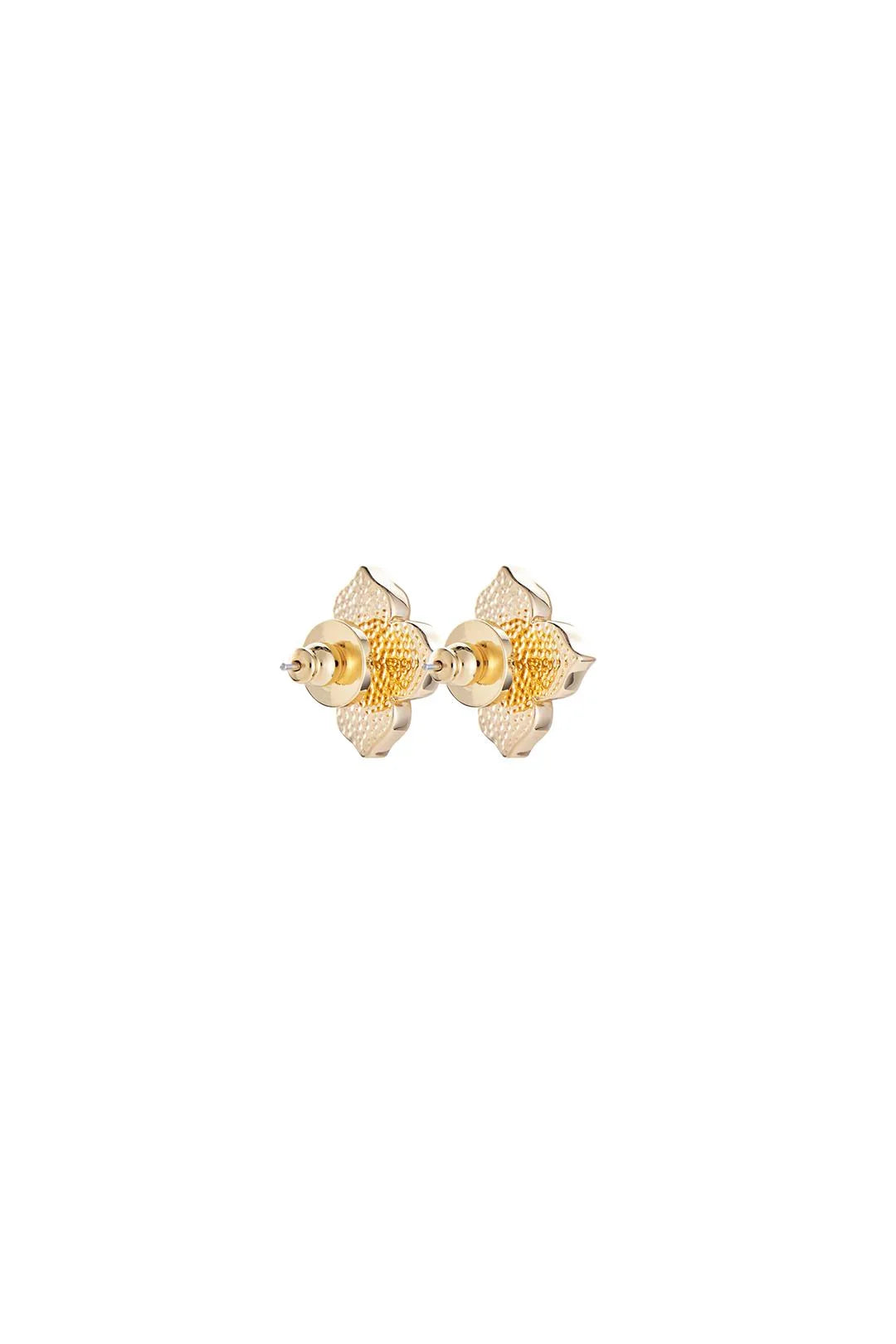 RARE BIRD COLLECTION | Emerald Hill Stud