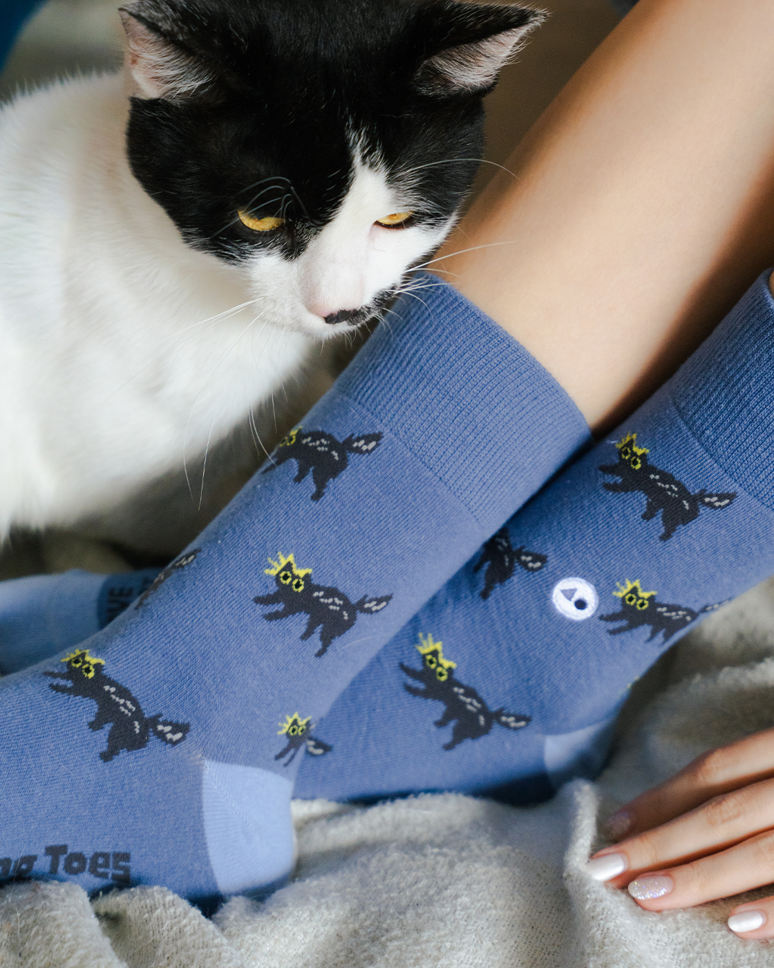 TALKING TOES | Scaredy Cat Sock