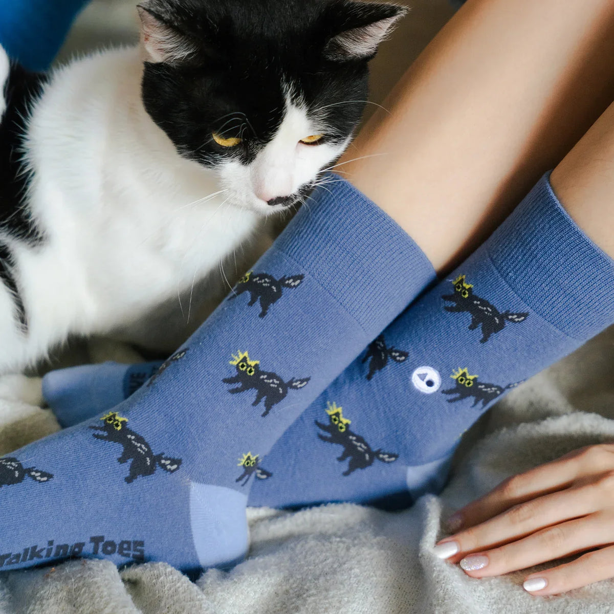 TALKING TOES | Scaredy Cat Sock