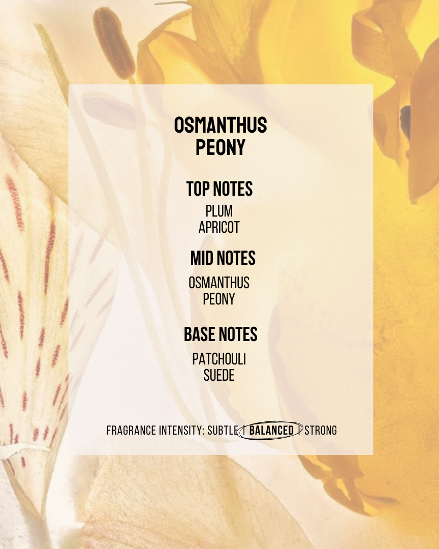 SOUL GOOD PROJECT | Reed Diffuser Set