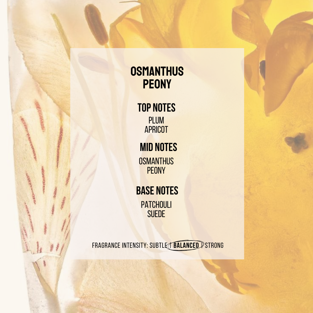 SOUL GOOD PROJECT | Reed Diffuser Set