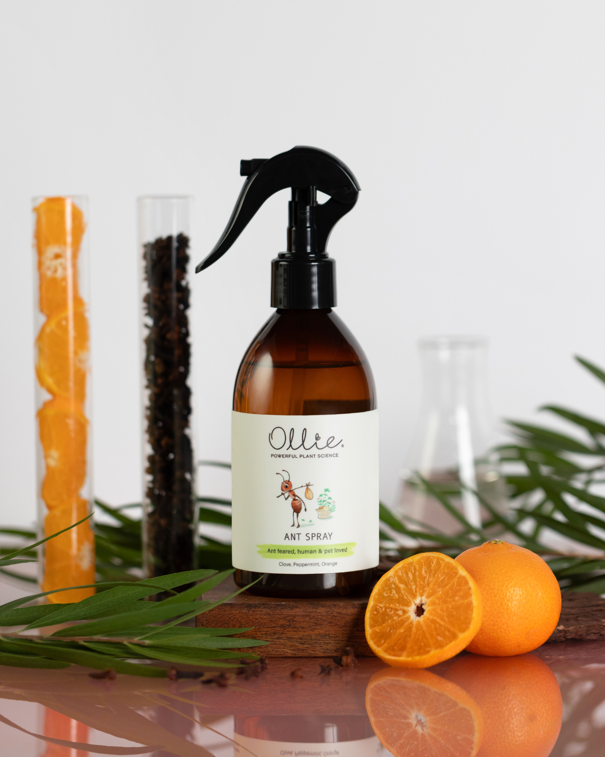 OLLIE | Ant Spray 250ml