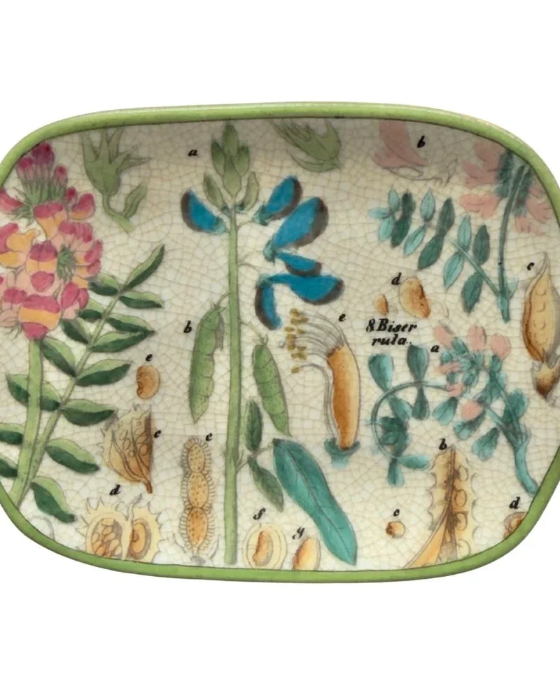 CAM | Archivo Savon Dish - Botanica
