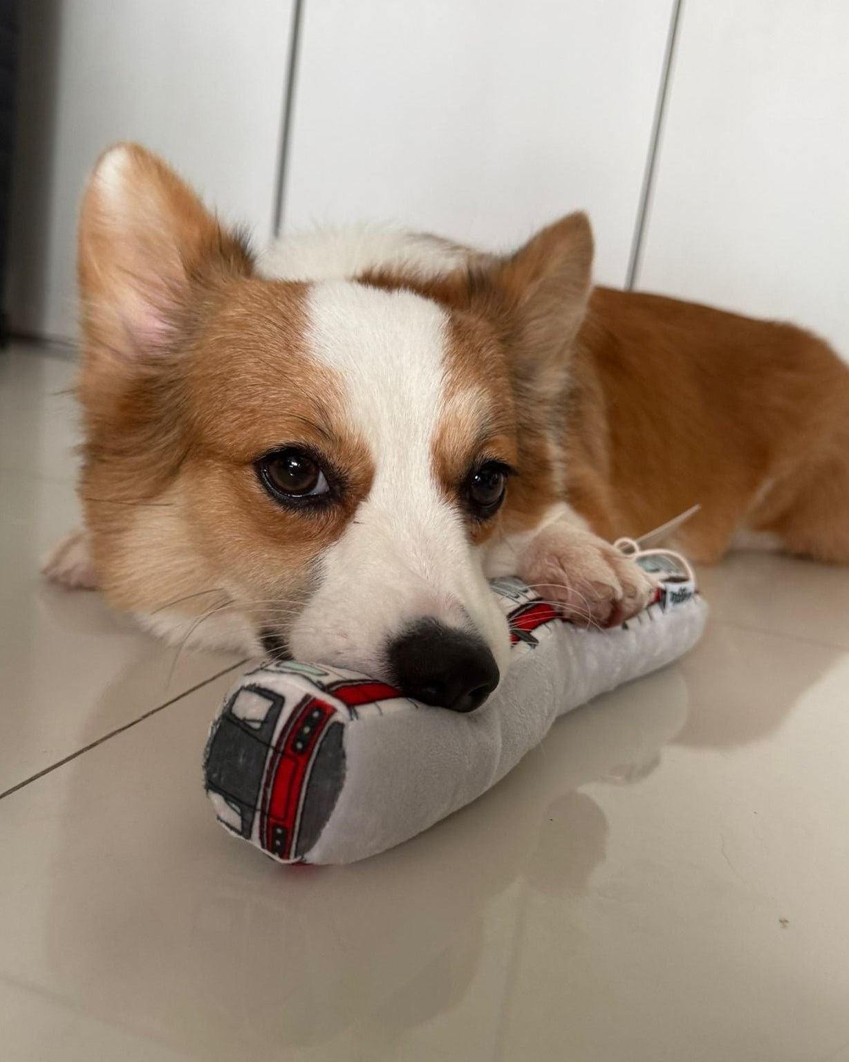 NOM | Waggle Train Chew Toy