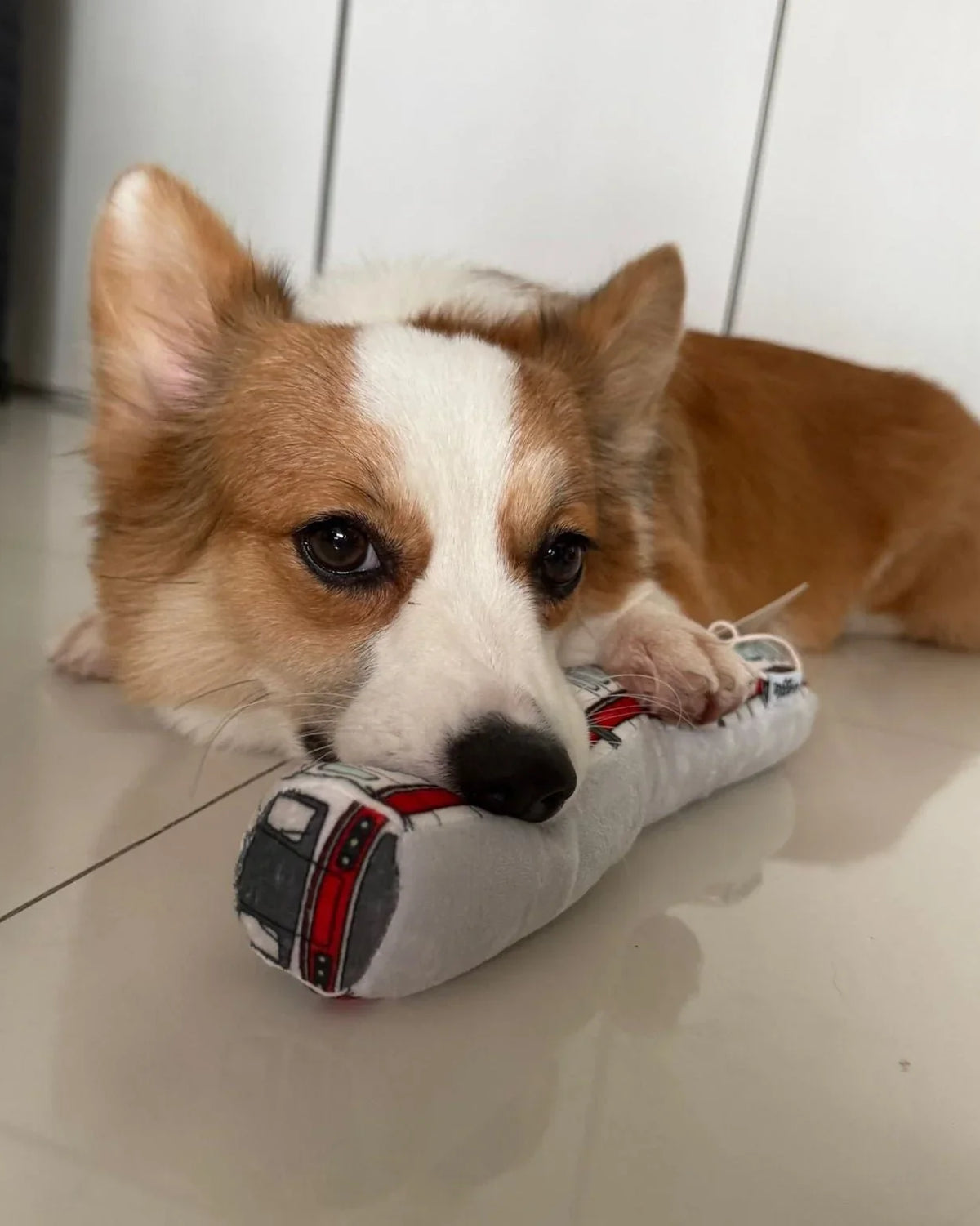 NOM | Waggle Train Chew Toy