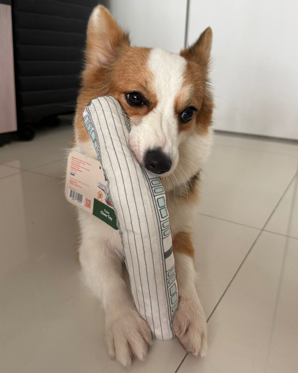 NOM | Waggle Train Chew Toy