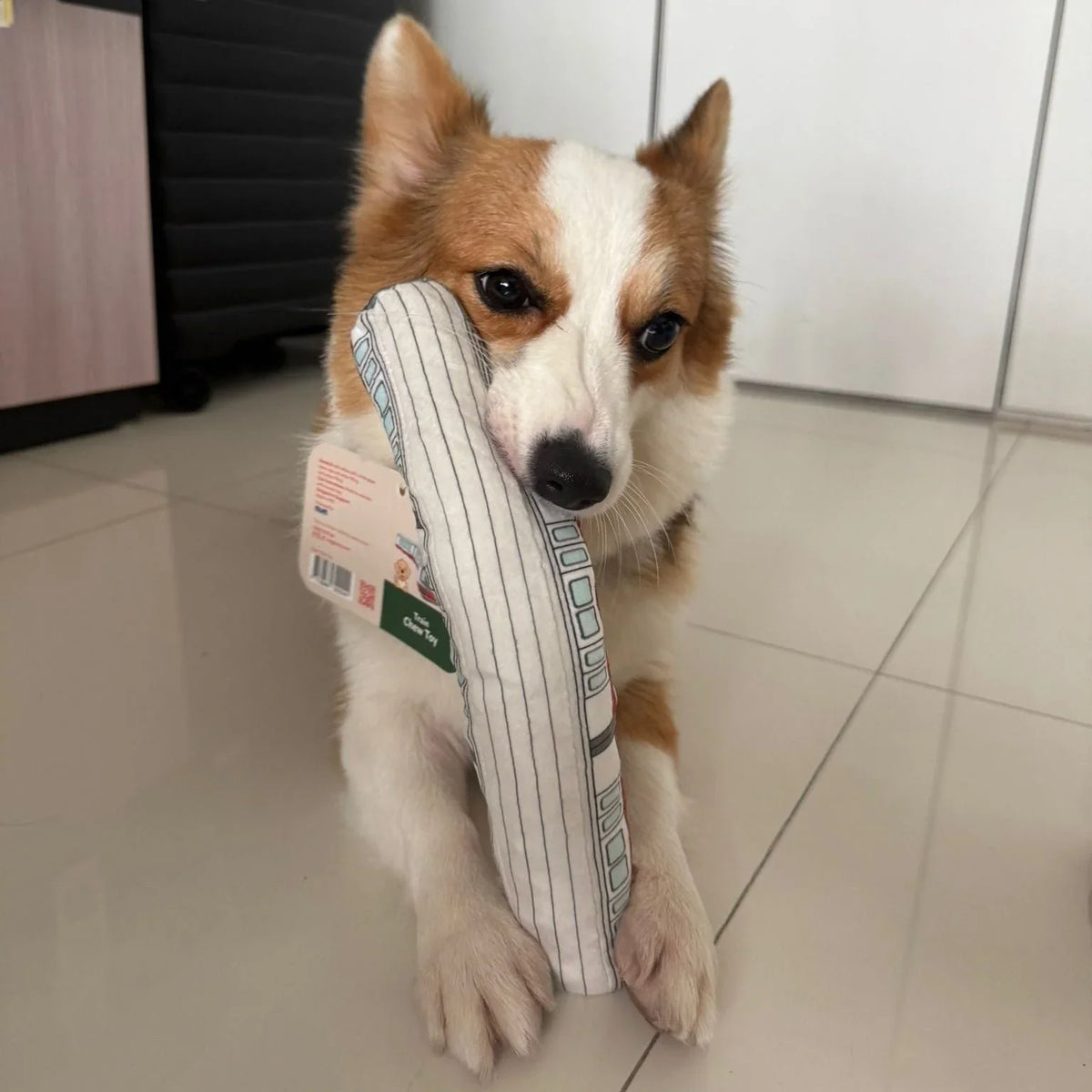 NOM | Waggle Train Chew Toy