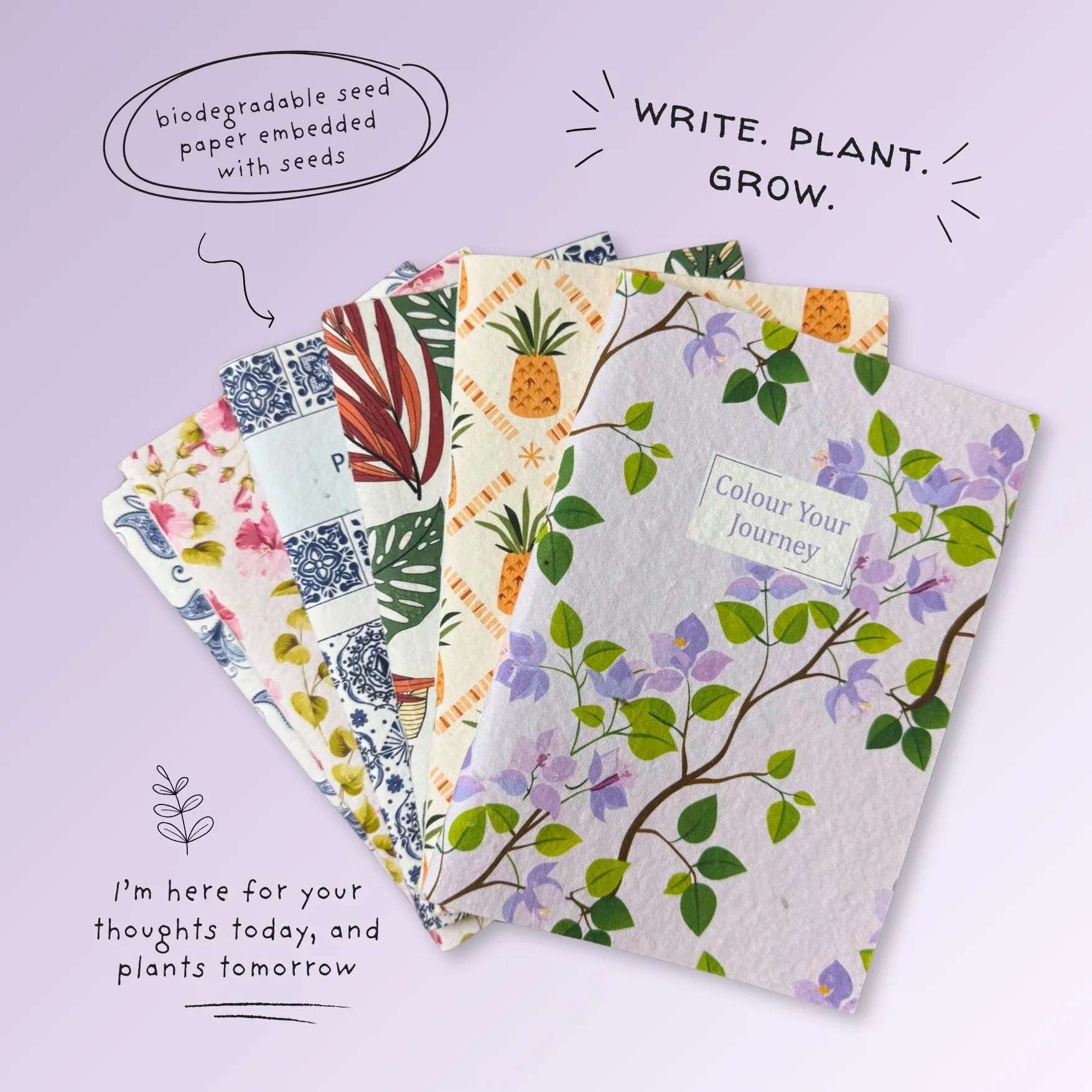 PURPLE AND PURE | Plantable Notebook Gift Set - Bouganvillea Blush