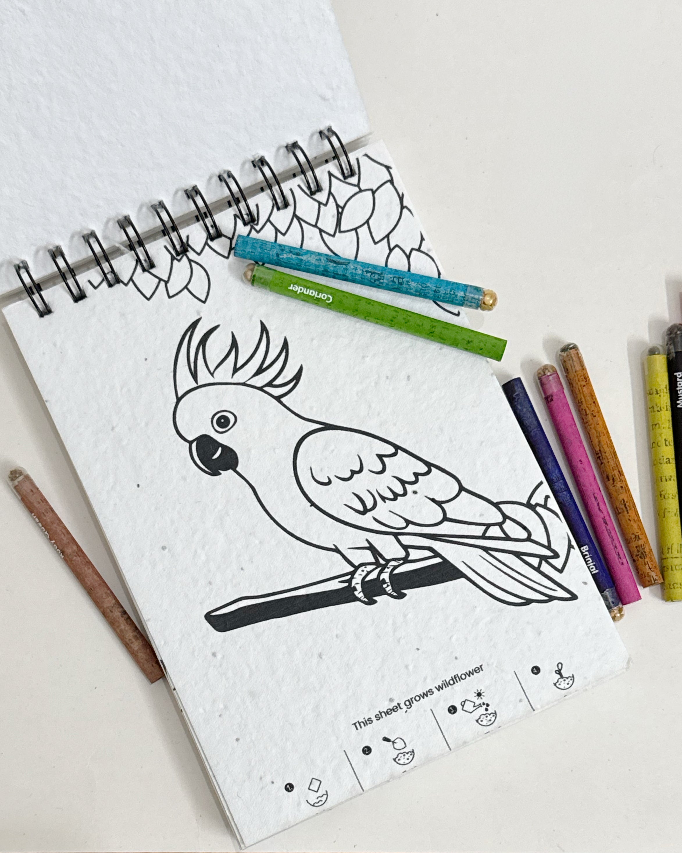 PURPLE AND PURE | Plantable Colouring Book For Kids - Zoo Edition