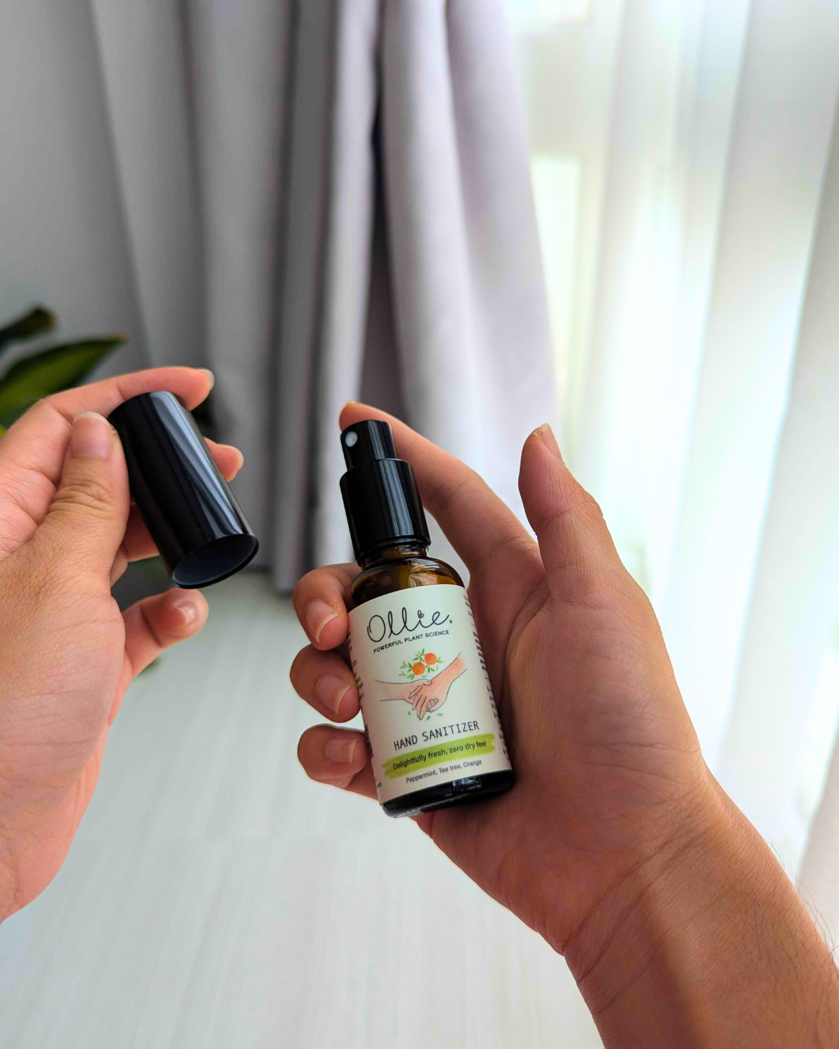 OLLIE | Travel Essentials