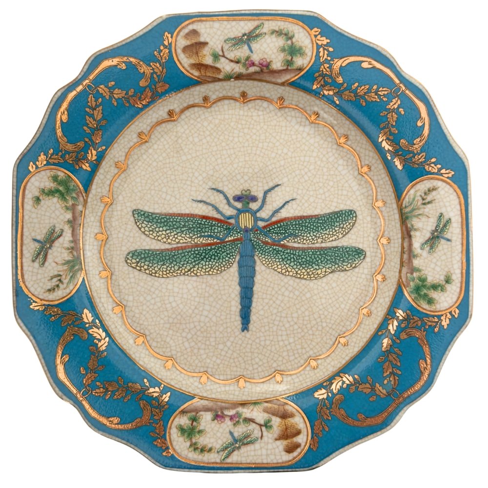 CAM | Exotico Wall Plate - Libelula EX095