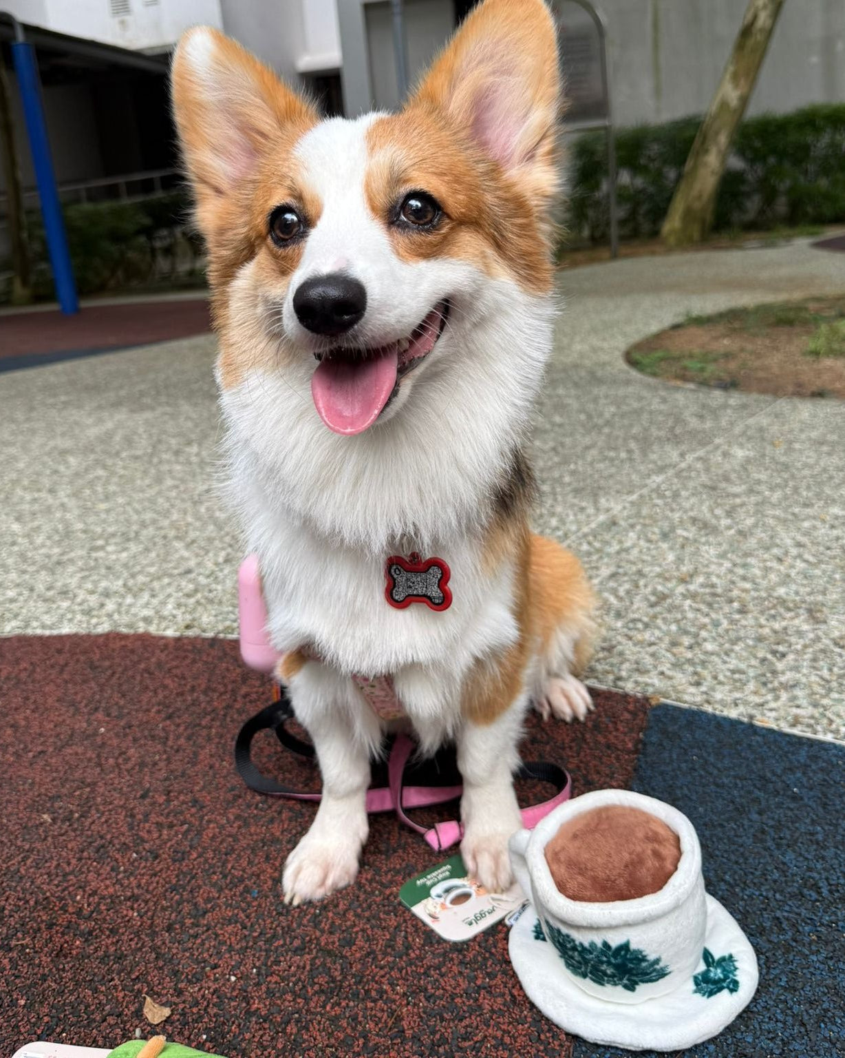 NOM | Waggle Kopi Cup Squeakie Chew Toy