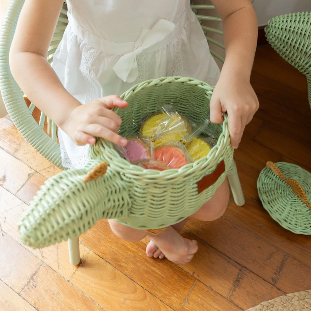 MOMIJI | Dinosaur Basket - Small