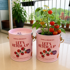 PURPLE AND PURE | Sow & Grow Kit (Mini) - Cherry Tomato