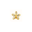 RISIS | Aeridovanda Vieng Ping Orchid Brooch/Pendant in Gold & Palladium