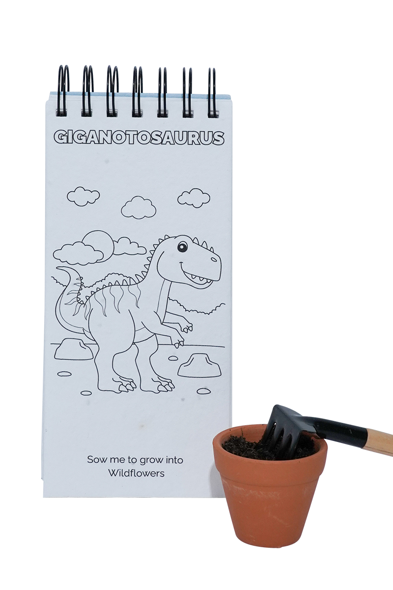 PURPLE & PURE | Dinosaurs Plantable Colouring Book