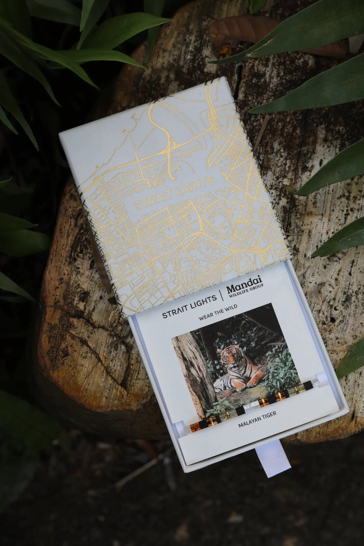 MANDAI WILDLIFE GROUP | MANDAI x STRAIT LIGHTS Tiger Bracelet