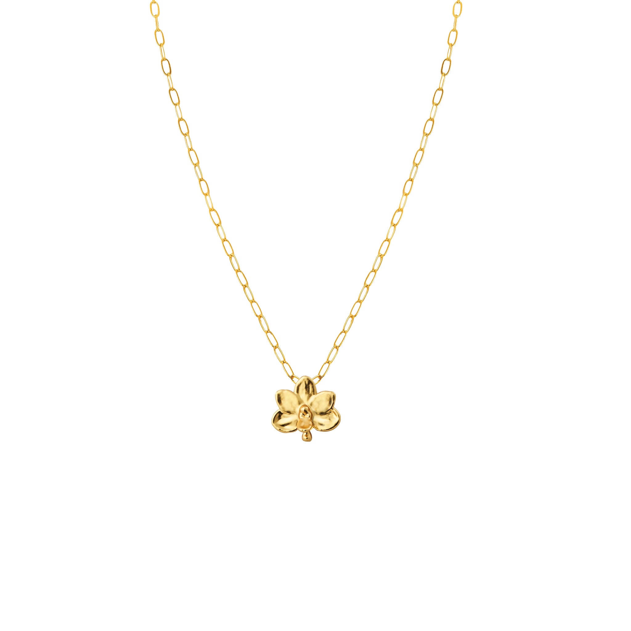 RISIS | Petite Orchid Paperclip Necklace in Gold