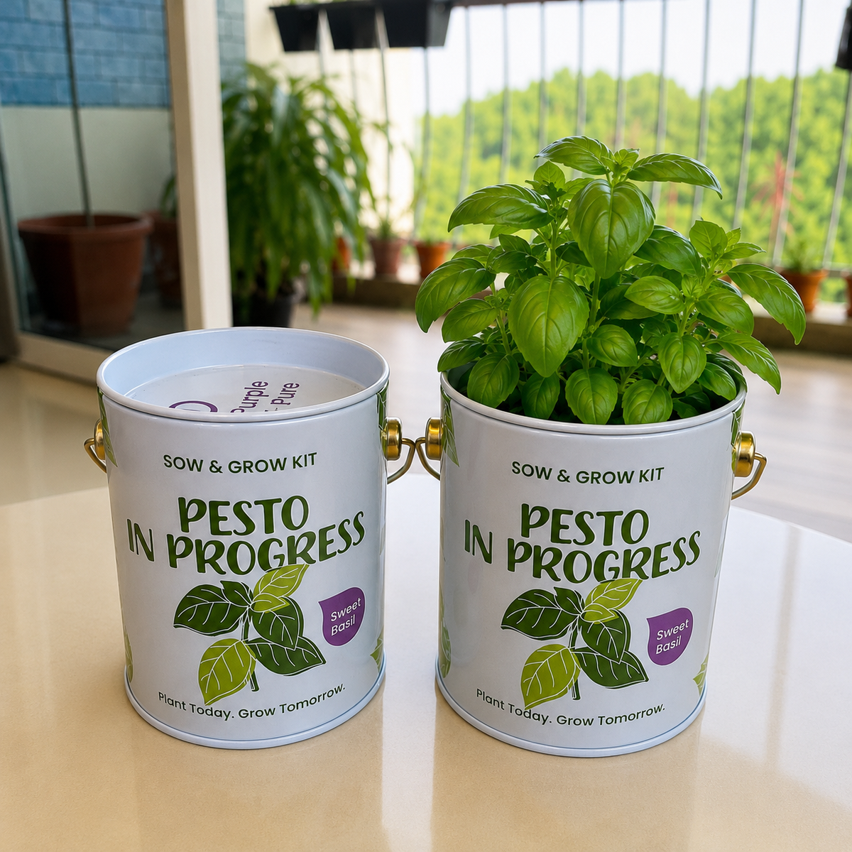 PURPLE AND PURE | Sow & Grow Kit (Mini) - Basil