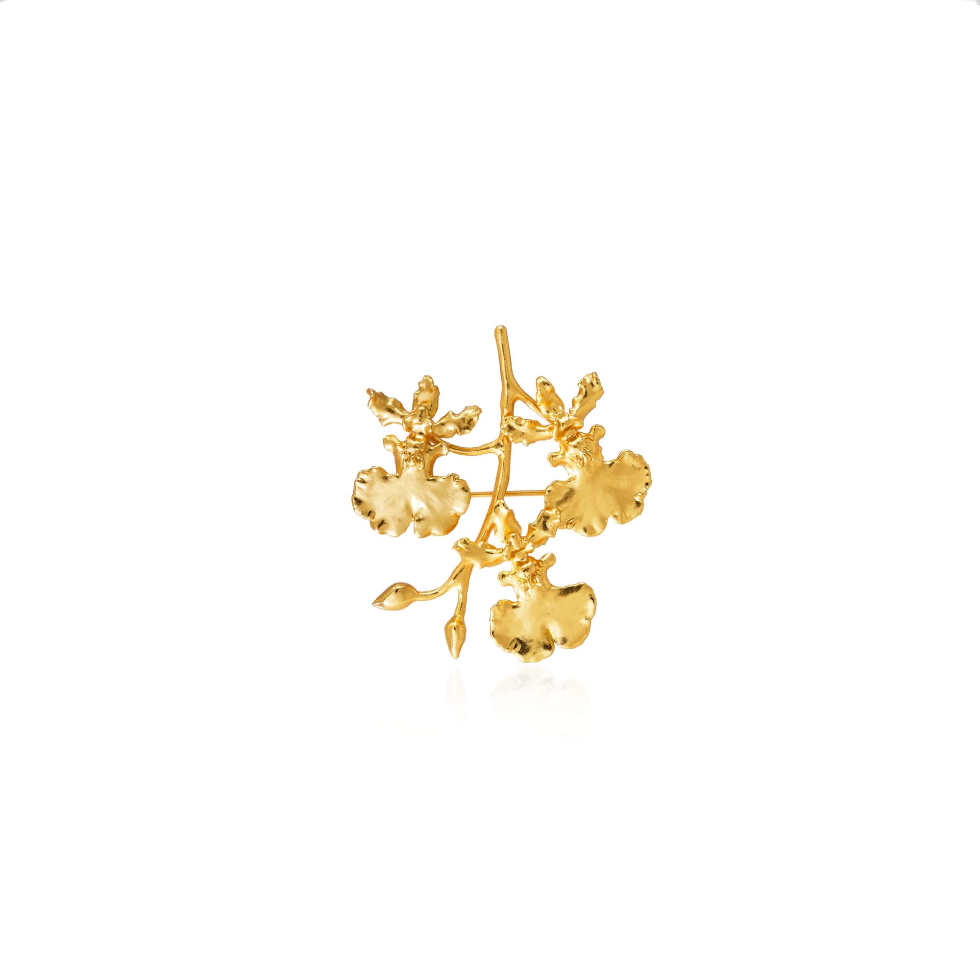 RISIS | Oncidium Shower with Vine Brooch/Pendant in Gold