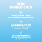 HANDMADE HEROES | The Ultimate Snow Shroom Hyaluronic Acid Serum