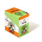 HALDY | Sugarfree Turmeric Mints - Peppermint (6-Pack)