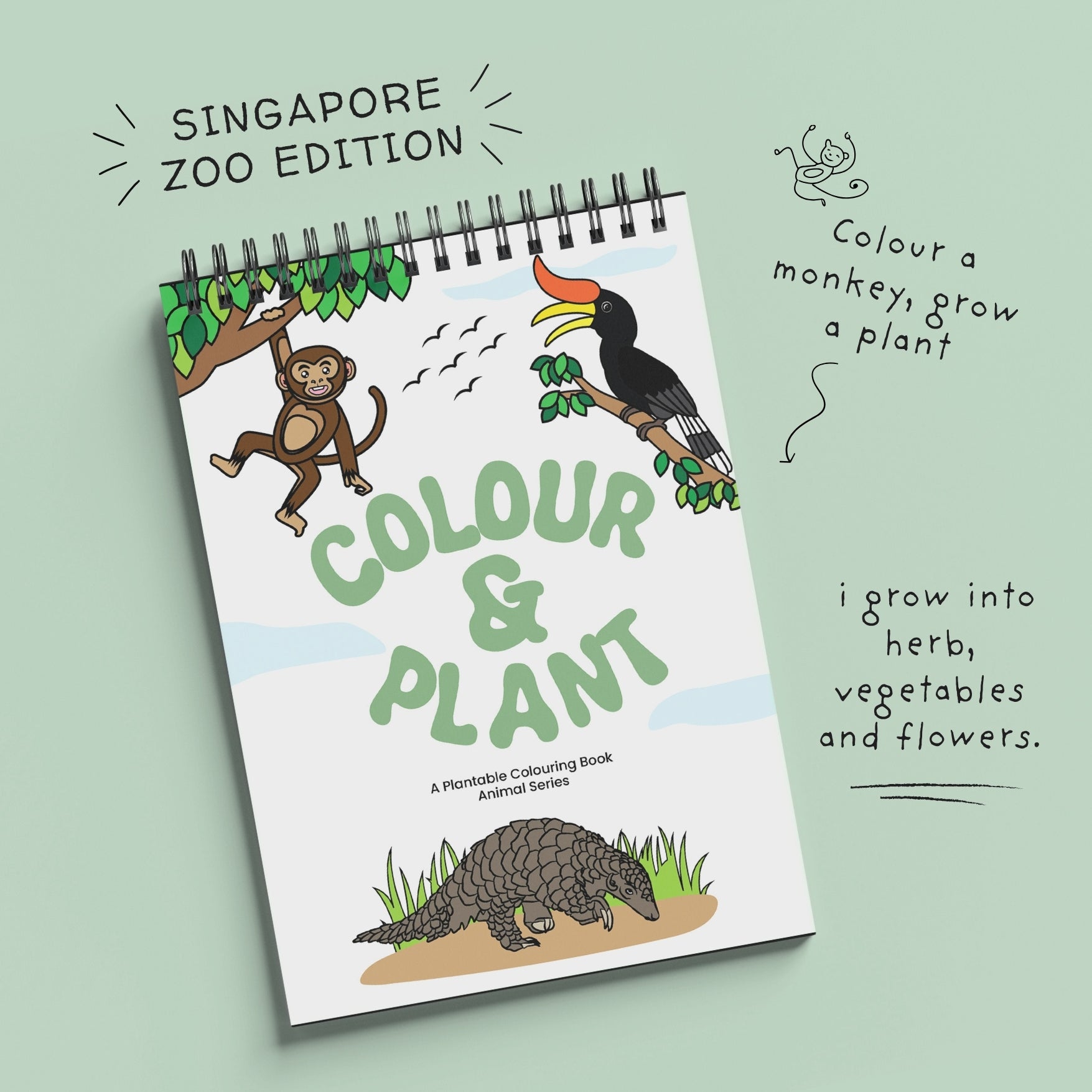 PURPLE AND PURE | Plantable Colouring Book For Kids - Zoo Edition