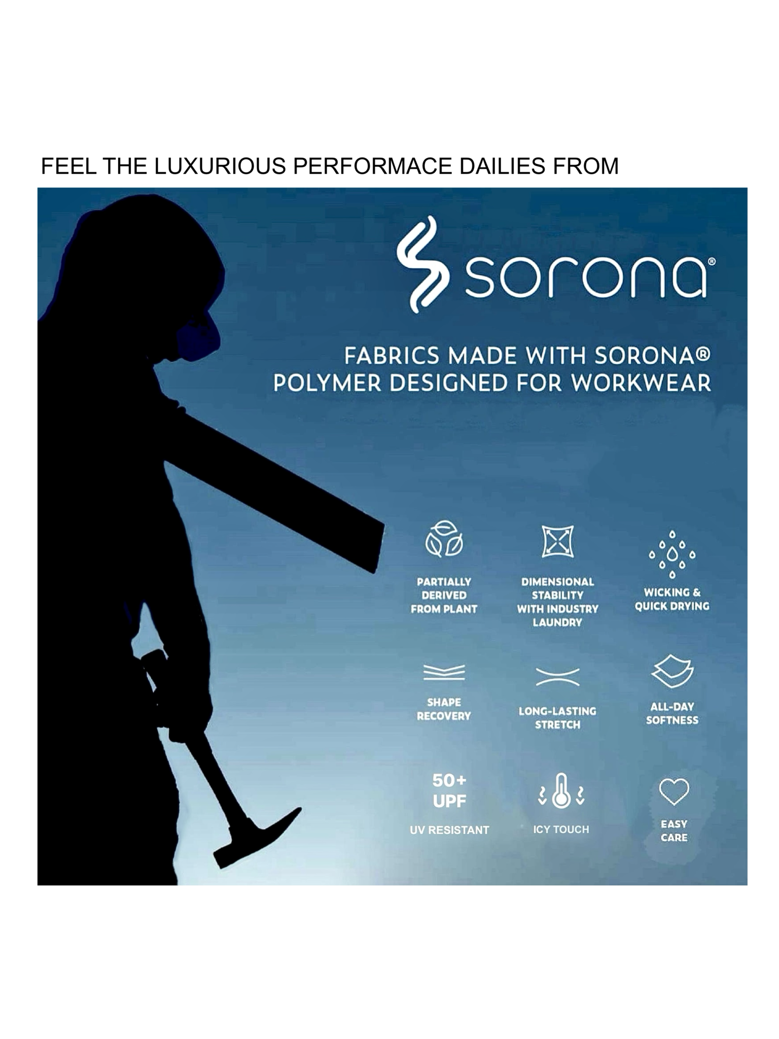 SPARROW GREEN | T-Shirt