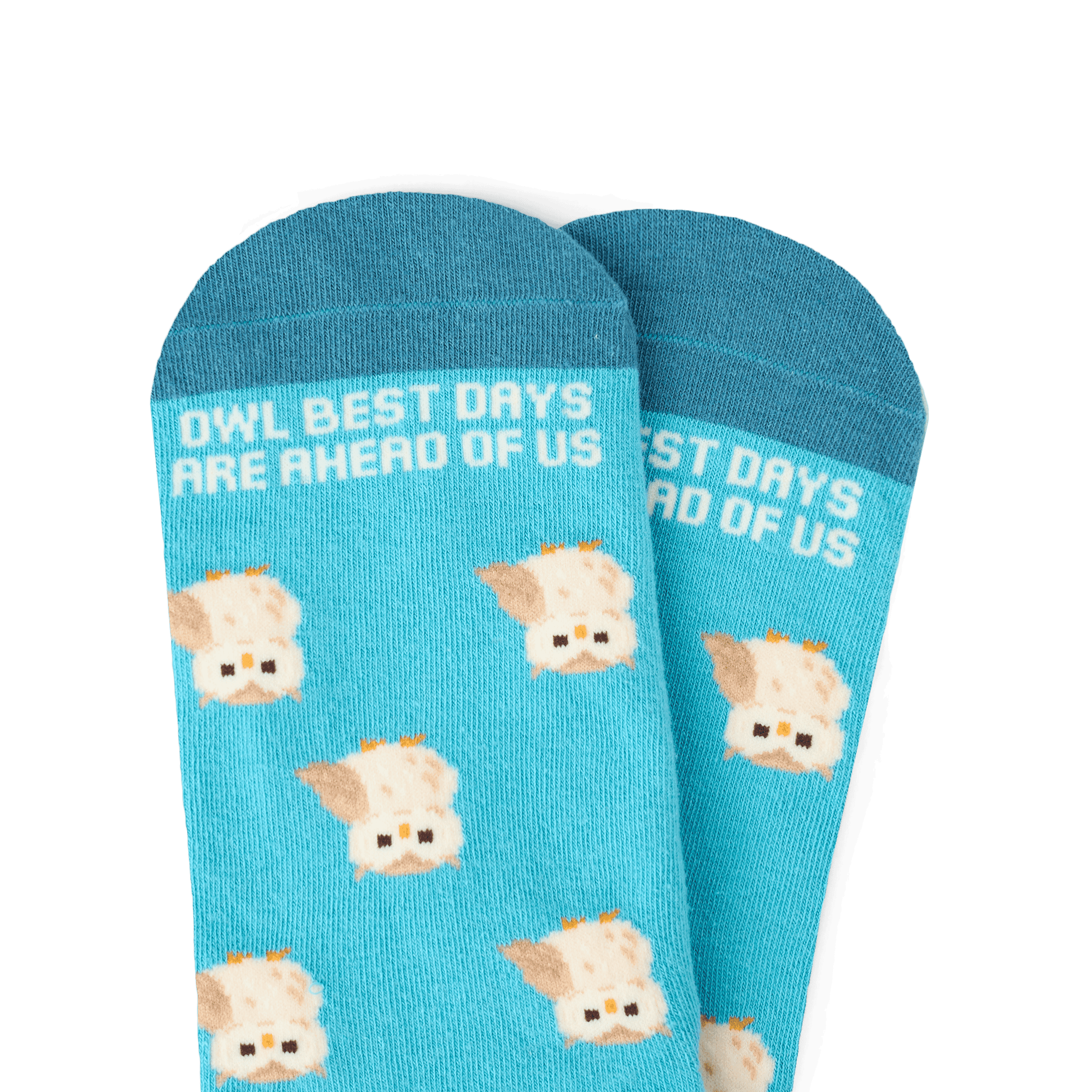 TALKING TOES | Owl Be Okay Sock | Blue