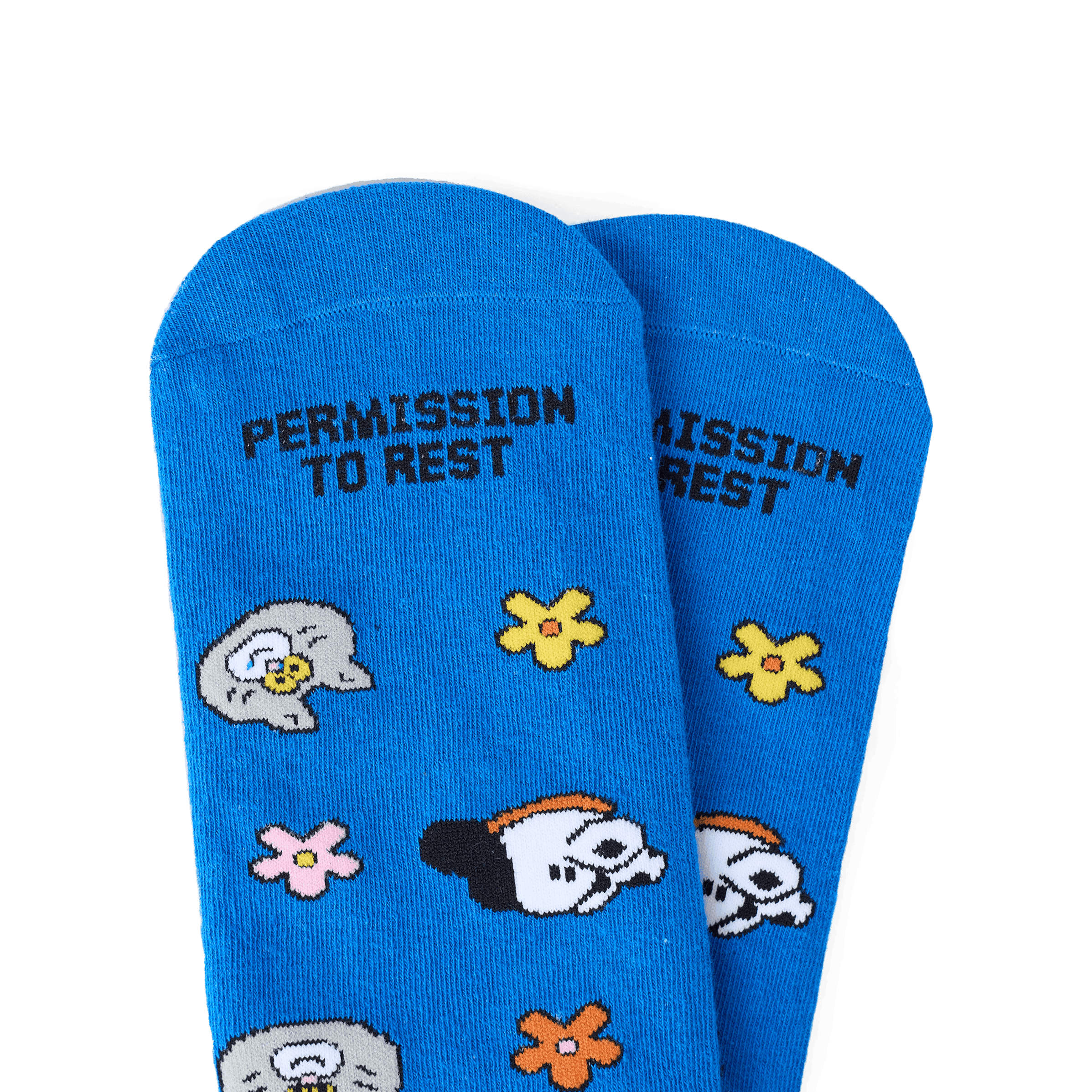 TALKING TOES | Cosy Companion Sock