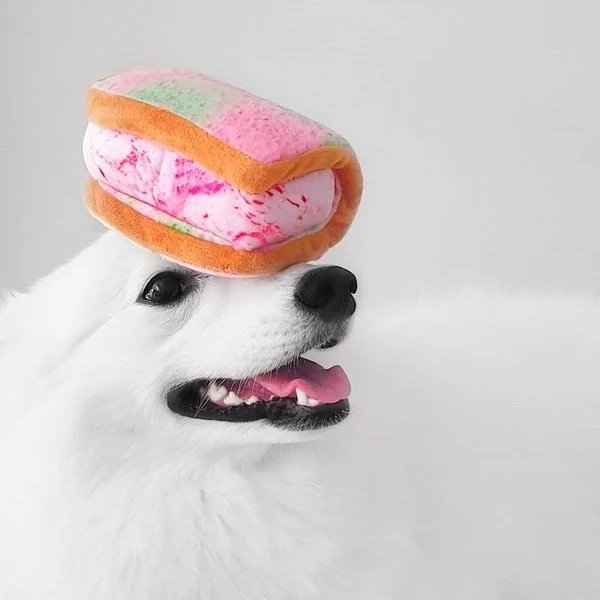 NOM | Waggle Ice Cream Sandwich Squeakie Chew Toy