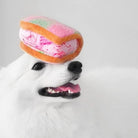NOM | Waggle Ice Cream Sandwich Squeakie Chew Toy